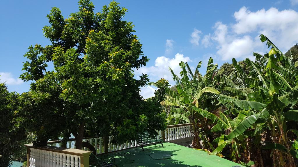 Hibiscus House Seychelles Self Catering Lägenhet Victoria Exteriör bild