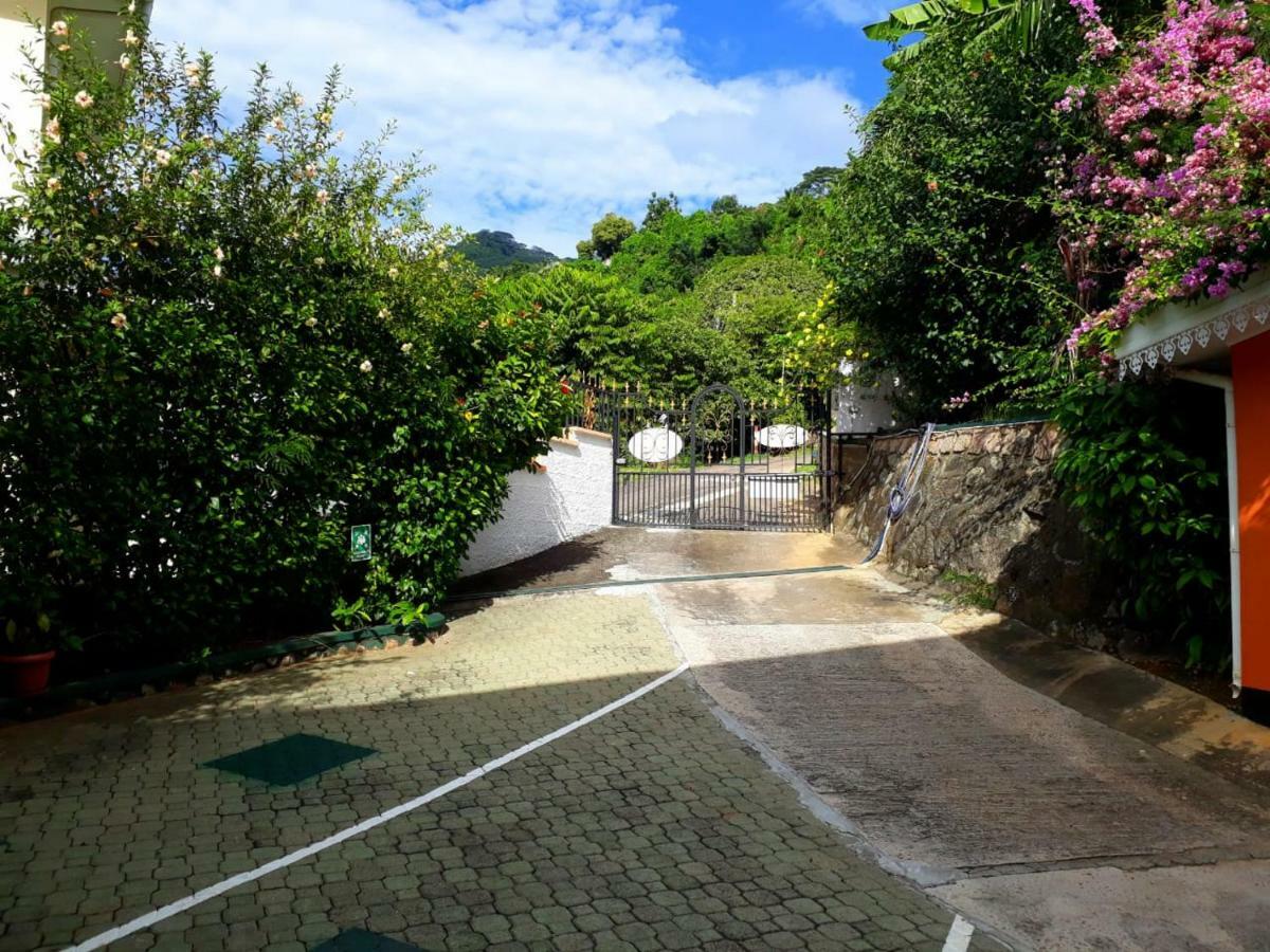 Hibiscus House Seychelles Self Catering Lägenhet Victoria Exteriör bild