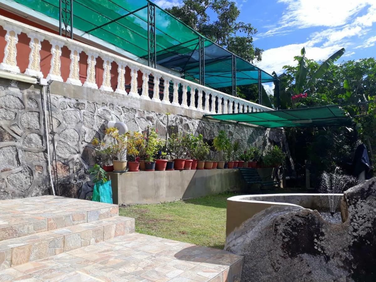 Hibiscus House Seychelles Self Catering Lägenhet Victoria Exteriör bild